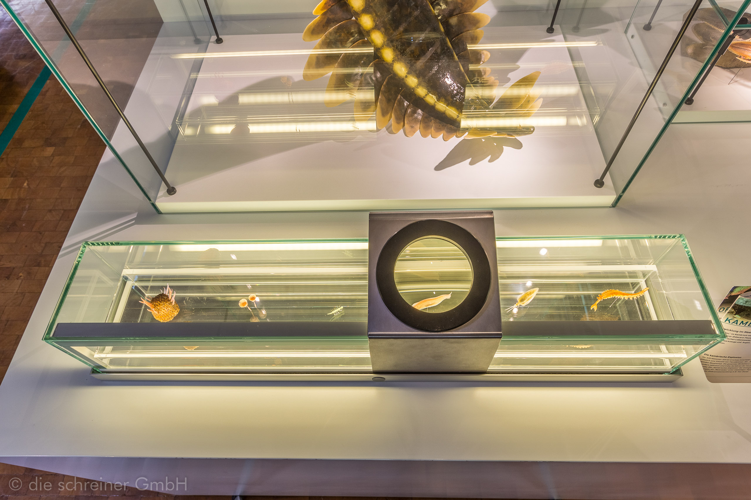 Naturkundemuseum Stuttgart