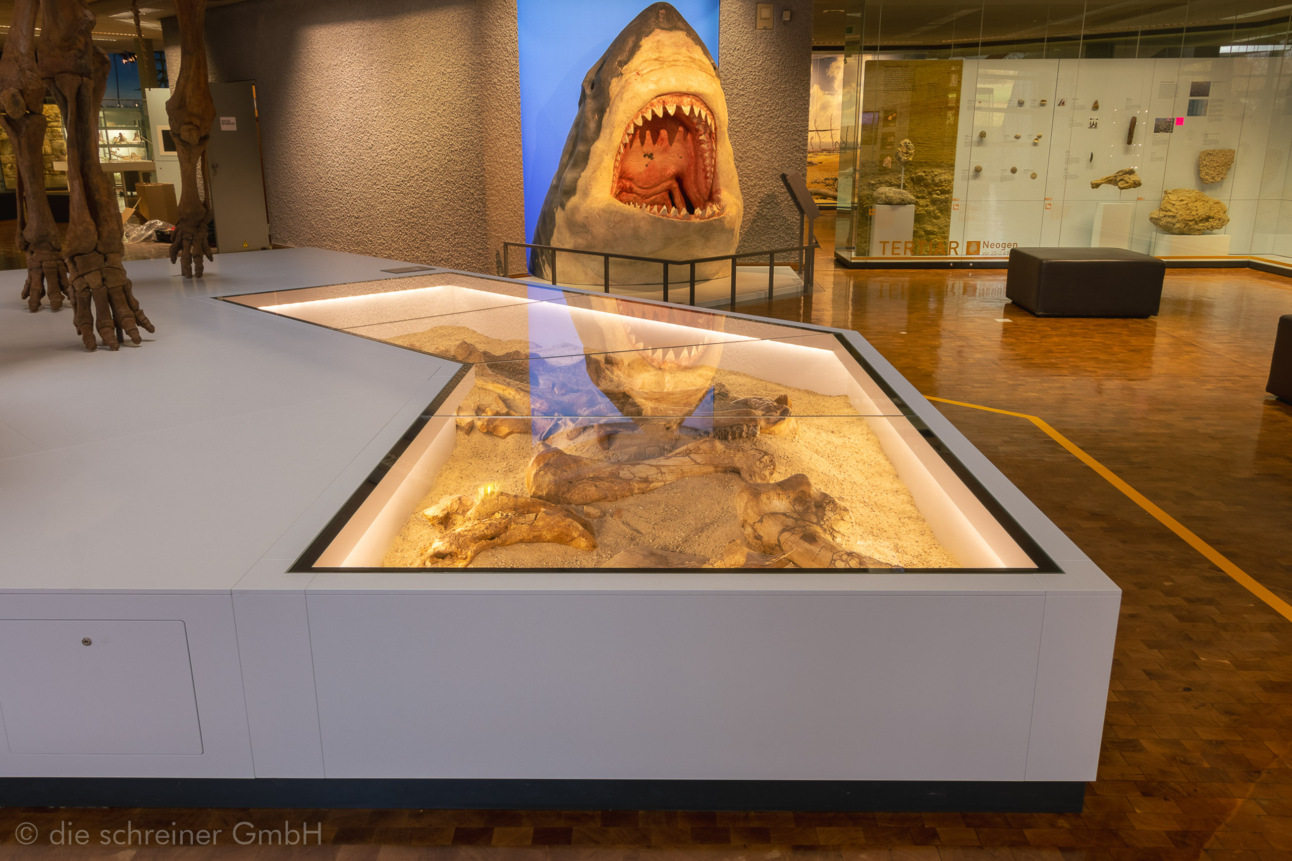 Naturkundemuseum Stuttgart