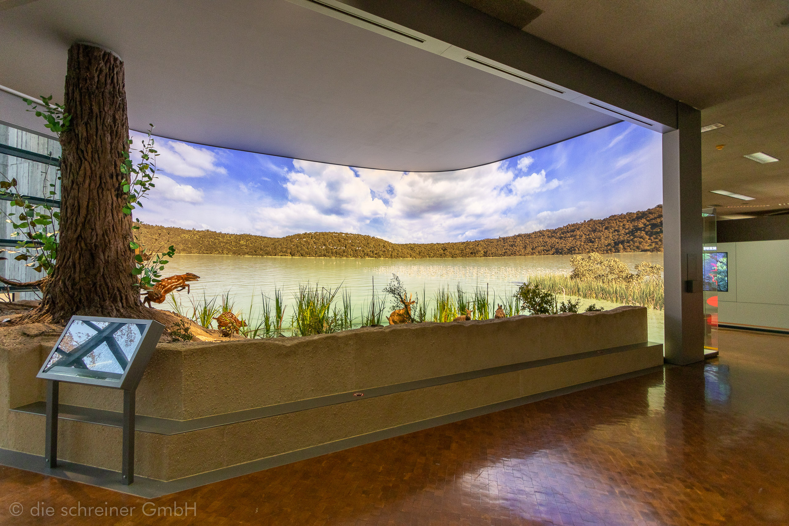 Naturkundemuseum Stuttgart